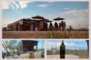 S-a deschis wine bar Marcea din vie! Află care este programul 1 Marcea bar vie