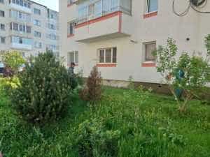 A început acțiunea de cosire a spațiilor verzi la Mioveni! 1 cosire la Mioven