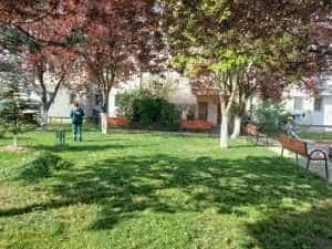 A început acțiunea de cosire a spațiilor verzi la Mioveni! 2 cosire la Mioven