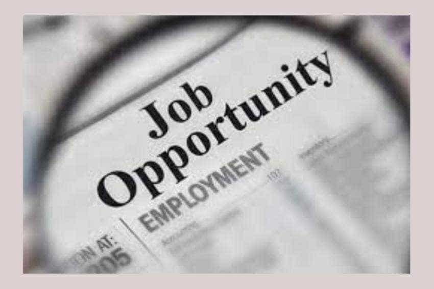anunt anagajare job