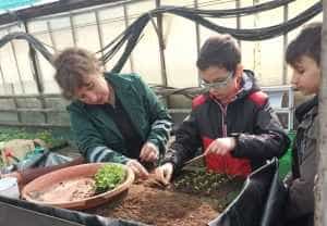 Educați de mici să îngrijească plantele. Peste 100 de elevi au fost la serele din Pitești 6 Sursă foto: Primăîria Municipiului Pitești