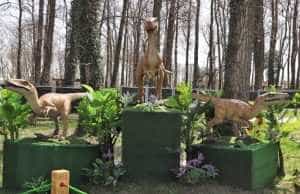 Sursă foto: Facebook Primăria Municipiului Pitesti