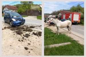 accident cal atelaj masina