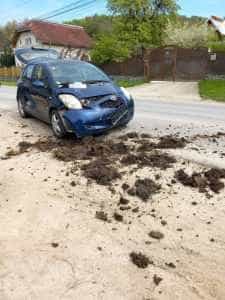 Argeș - Accident rutier între un autoturism și un atelaj 2 accident cal atelaj masina