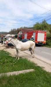 Argeș - Accident rutier între un autoturism și un atelaj 1 accident cal atelaj masina
