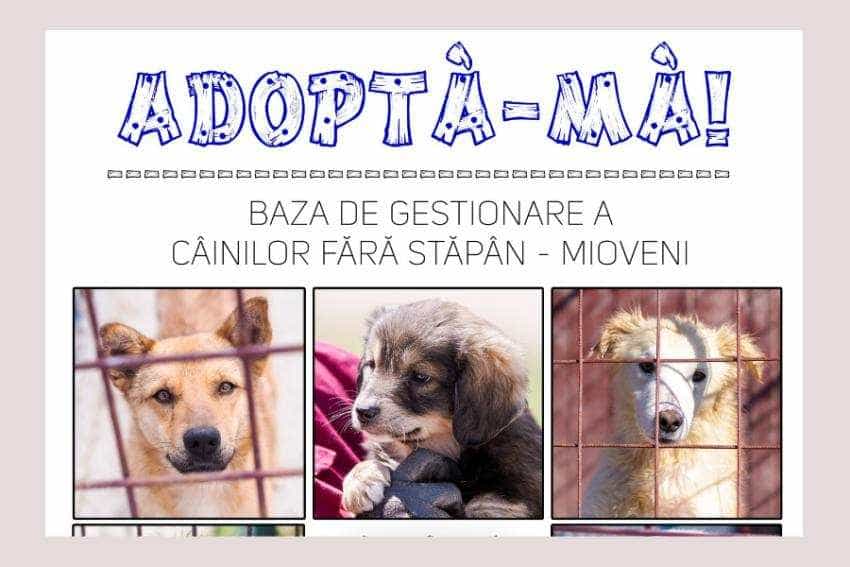 Untitled Project (5)