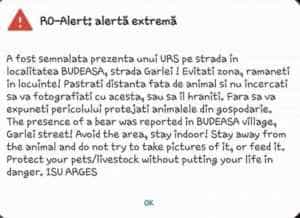 ro alert - Urs alungat de autorități în Budeasa Mică
