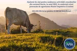 Sursă foto: Facebook APIA