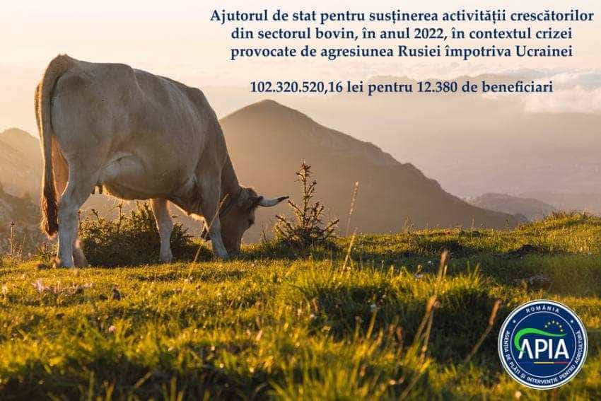 Sursă foto: Facebook APIA