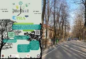 Fii și tu voluntar în orașul tău! Participă la acțiune și hai să #curățămPiteștiul 12 Sursă foto: Primaaria Municipiului Pitesti