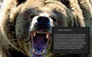 urs - Alertă extremă RO-ALERT lângă Mioveni! Un urs a intrat într-o gospodărie!