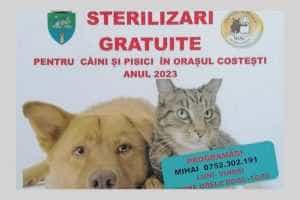 Sterilizări gratuite pentru câini și pisici la Costești 16 sterilizari la Costești