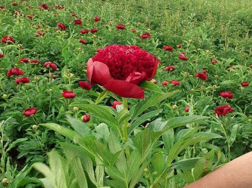 Sursă foto: Facebook Razvan Serbanoiu