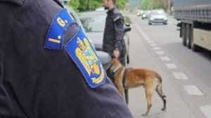 ipj - (VIDEO)Acțiune pe DN7 - pentru reducerea riscului rutier și prevenirea fenomenului migraței ilegale!