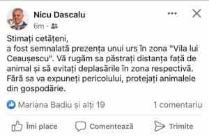 nicu dascalu urs - ALERTĂ de urgență în Mărăcineni! Un urs se află în zona "Vila lui Ceaușescu"!