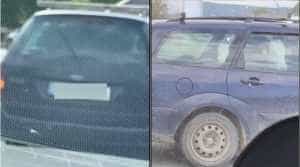 vaca plimbata masina dej 835512 - Pasager neobișnuit pe bancheta din spate! Vacă plimbată cu mașina prin Dej