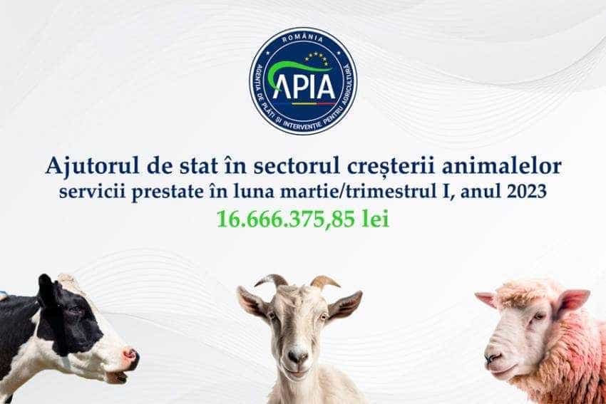 Sursă foto: Facebook APIA