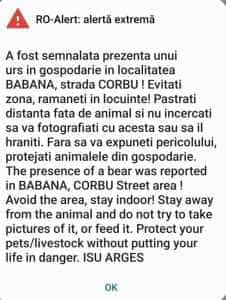 Alertă la Mioveni! Un urs a fost semnalat în zona ICN 2 0a711d2a 21b8 4450 8728 70afa4c72e4a - Alertă la Mioveni! Un urs a fost semnalat în zona ICN