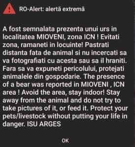 Alertă la Mioveni! Un urs a fost semnalat în zona ICN 1 0bca57bc 7339 446e a7dc 420402edf27f - Alertă la Mioveni! Un urs a fost semnalat în zona ICN
