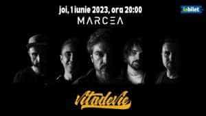 348856454 623703439630958 5681770955432802463 n - Concert „Vița de Vie” la Crama Marcea
