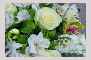 Untitled Project 2 - Managerul Mircea Stoian - mesaj de sărbătoarea Sfinţilor Constantin şi Elena