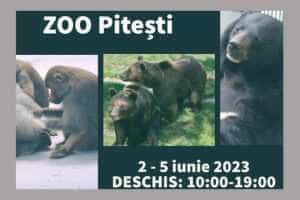 zoo pitesti