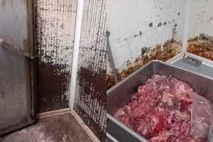 page 1 - Fabrica de Mezeluri Matis, închisă temporar și amendată de ANPC! Alimente procesate în rugină și murdărie