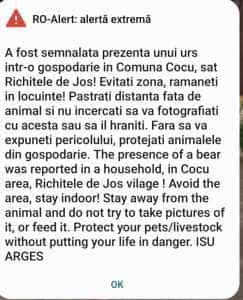 Alerta urs Cocu - Urșii atacă din nou! Primarul comunei Bălilești trage un semnal de alarmă