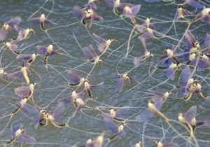 Sursă foto: digi24.ro