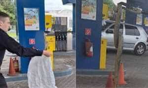 Sarpe in peco - Panică la o benzinărie din Drobeta-Turnu Severin! Un șarpe s-a încolăcit pe o pompă de benzină