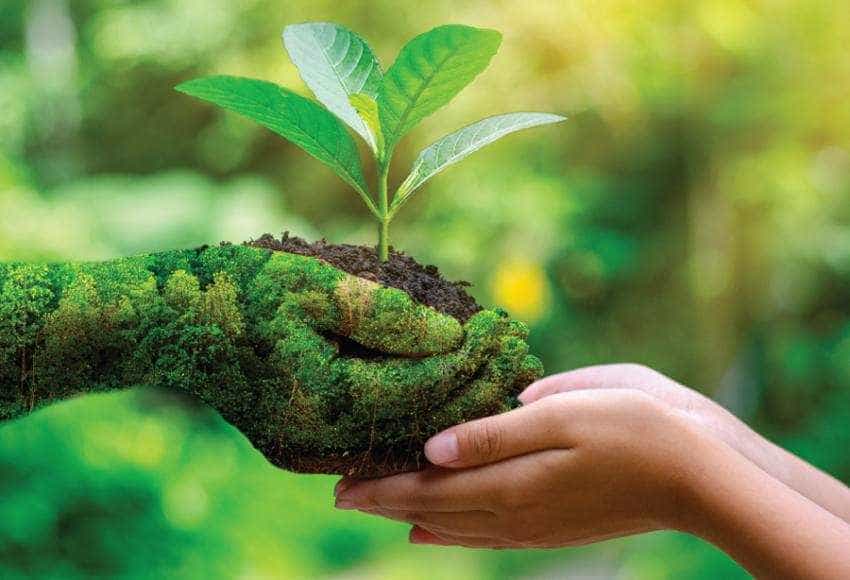 Sursă foto: royal-synergy.ro