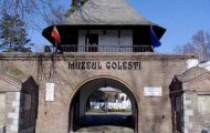 Sursă foto: Facebook Muzeul Golesti