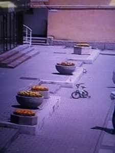 Fetiță pierdută în centrul Piteștiului, găsită de polițiștii locali 1 WhatsApp Image 2023 06 11 at 13.59.53 - Fetiță pierdută în centrul Piteștiului, găsită de polițiștii locali