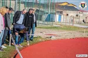 Costesti - ARGEȘ - RAPORT ADMINISTRATIV