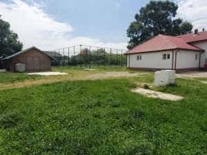 Comuna Rociu are un primar tânăr cu proiecte îndrăznețe 1 Rociu - Comuna Rociu are un primar tânăr cu proiecte îndrăznețe