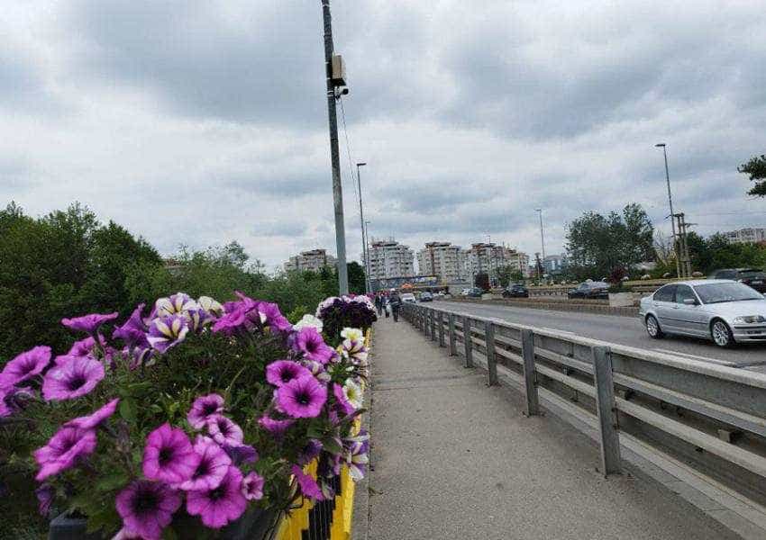 Sursă foto: Facebook Cristian Gentea