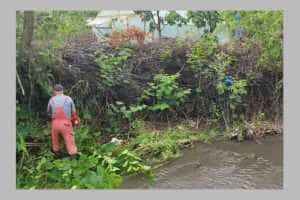 La Bogați a continuat acțiunea de ecologizare a pârâului Budișteanca 3 Bogați