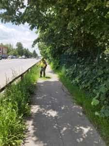 ȘTEFĂNEȘTI. Acțiunile de salubrizare și întreținere a domeniului public - continuă! 5 Ștefănești