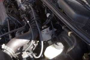 Pisica 48bac21a5e - Pisică blocată la motorul unei mașini, salvată de pompierii argeșeni