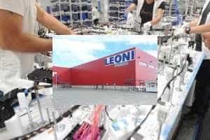 page - Compania Leoni-preluată de un miliardar austriac!