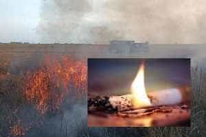 Incendiu lan de grau - Arad: Şapte hectare de grâu distruse de o țigară aruncată la întâmplare