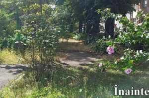 Sursă foto: Facebook Cristian Gentea