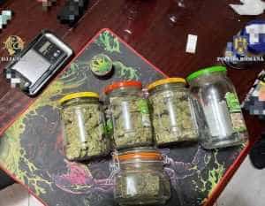 (VIDEO) Argeș: Percheziții la persoane bănuite de trafic de droguri! Vindeau canabis tinerilor 1 Perchezitii trafic de droguri 1 - (VIDEO) Argeș: Percheziții la persoane bănuite de trafic de droguri! Vindeau canabis tinerilor