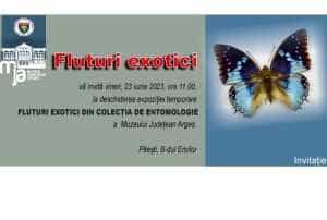 Sursă foto: Muzeul Județean Arges.