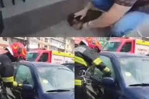 page 2 - (VIDEO) Dosar penal pentru o femeie din Merișani! I-a murit pechinezul de insolatie!