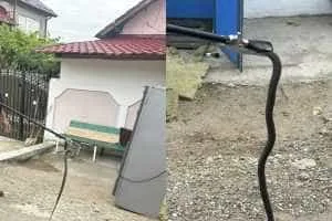 sarpe - Mehedinți: Șarpele, musafirul nepoftit din aparatul de cafea!