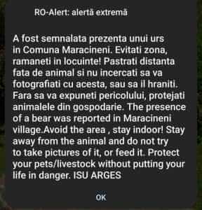 Alerta urs Maracineni - Ursul din comuna Mărăcineni și-a făcut din nou apariția