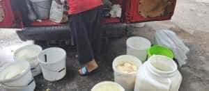 Branza vanduta din masina - Control inopinat în piețele din Pitești! Amenzi de peste 9.000 de lei