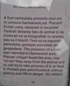 RO Alert urs - Ursul și-a făcut din nou apariția la Piscani!