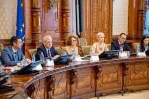 alina gorghiu forumul sigurantei rutiere